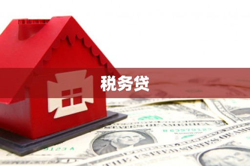 湖南税务贷