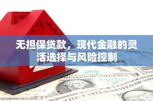 湖南无担保贷款，现代金融的灵活选择与风险控制