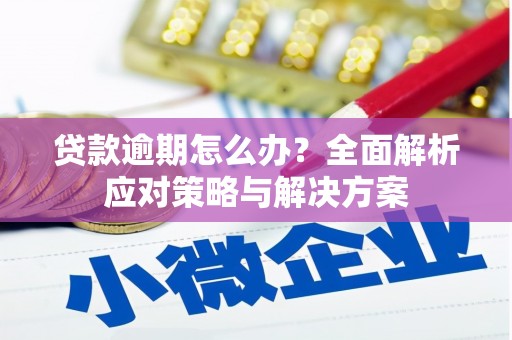 湖南贷款逾期怎么办？全面解析应对策略与解决方案