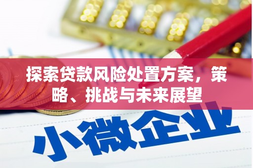 湖南探索贷款风险处置方案，策略、挑战与未来展望