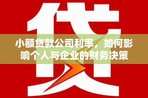 湖南小额贷款公司利率，如何影响个人与企业的财务决策