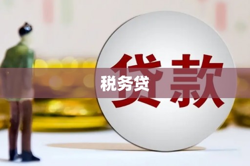 湖南税务贷