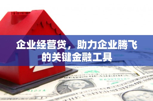 湖南企业经营贷，助力企业腾飞的关键金融工具
