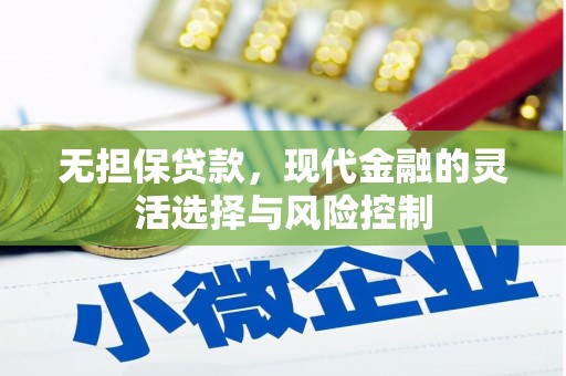 湖南无担保贷款，现代金融的灵活选择与风险控制