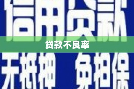 湖南贷款不良率