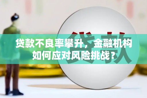 湖南贷款不良率攀升，金融机构如何应对风险挑战？