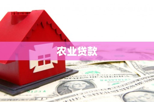 湖南农业贷款