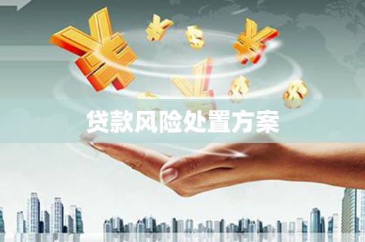 湖南贷款风险处置方案