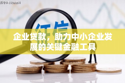 湖南企业贷款，助力中小企业发展的关键金融工具