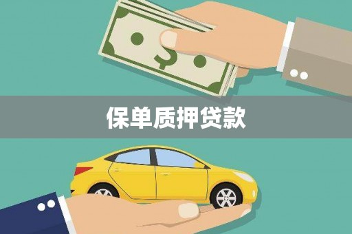 湖南保单质押贷款