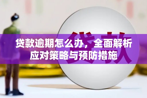 湖南贷款逾期怎么办，全面解析应对策略与预防措施