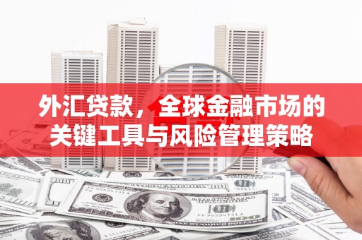 湖南外汇贷款，全球金融市场的关键工具与风险管理策略