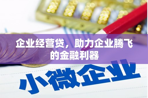湖南企业经营贷，助力企业腾飞的金融利器