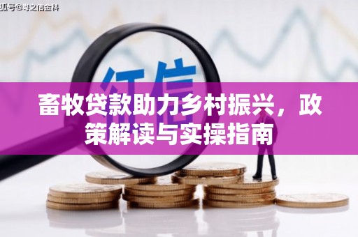 湖南畜牧贷款助力乡村振兴，政策解读与实操指南