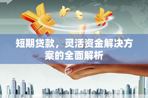 湖南短期贷款，灵活资金解决方案的全面解析