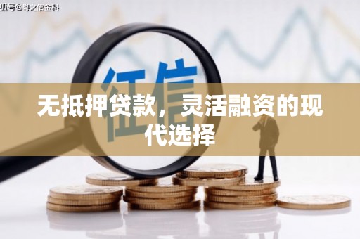 湖南无抵押贷款，灵活融资的现代选择