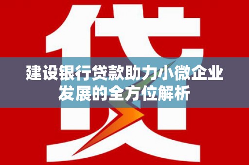 湖南建设银行贷款助力小微企业发展的全方位解析