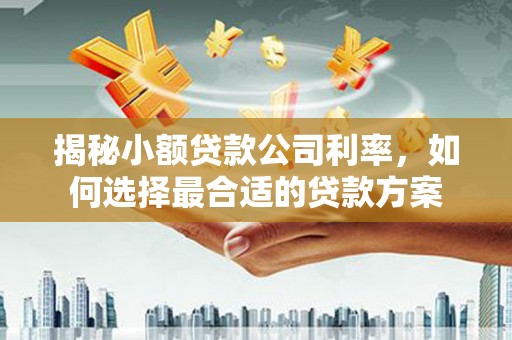 湖南揭秘小额贷款公司利率，如何选择最合适的贷款方案