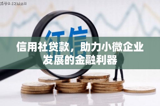 湖南信用社贷款，助力小微企业发展的金融利器