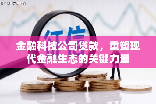 湖南金融科技公司贷款，重塑现代金融生态的关键力量