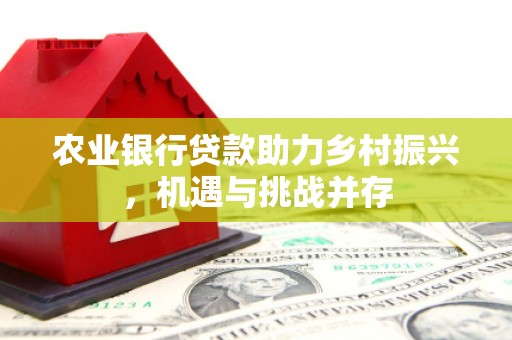 湖南农业银行贷款助力乡村振兴，机遇与挑战并存