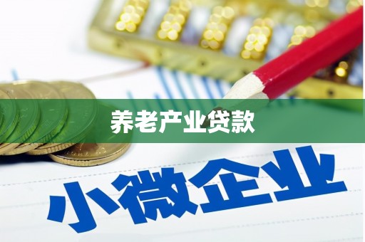湖南养老产业贷款