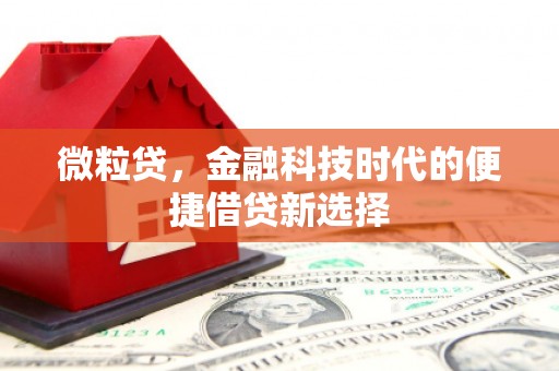 湖南微粒贷，金融科技时代的便捷借贷新选择
