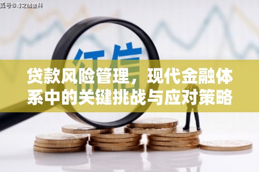 湖南贷款风险管理，现代金融体系中的关键挑战与应对策略