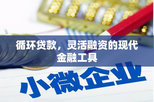 湖南循环贷款，灵活融资的现代金融工具