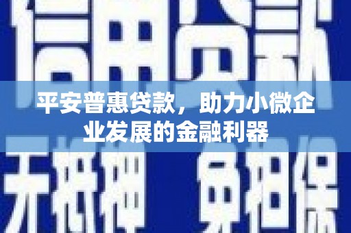 湖南平安普惠贷款，助力小微企业发展的金融利器