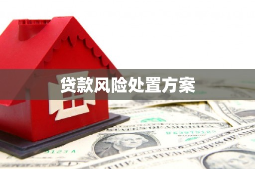湖南贷款风险处置方案