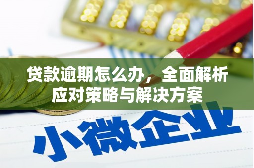湖南贷款逾期怎么办，全面解析应对策略与解决方案