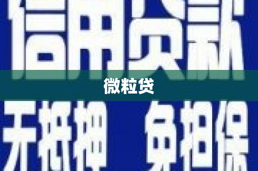 湖南微粒贷