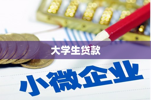 湖南大学生贷款