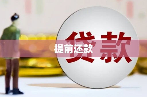 湖南提前还款