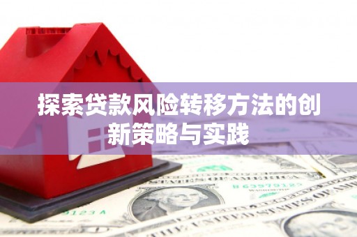 湖南探索贷款风险转移方法的创新策略与实践